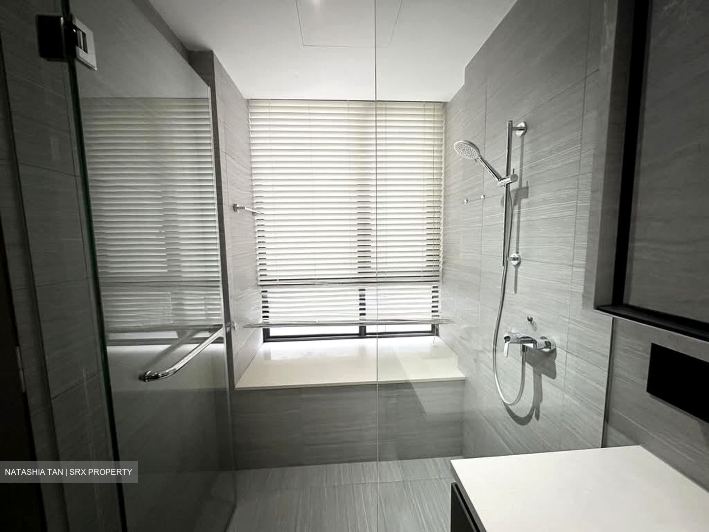 d'Nest (D18), Condominium #578362041